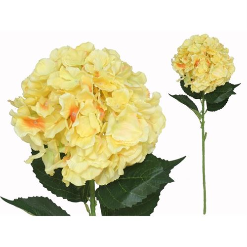 217048 HASTE HORTENSIA 20.00 X 25.00 X 77.00 CM