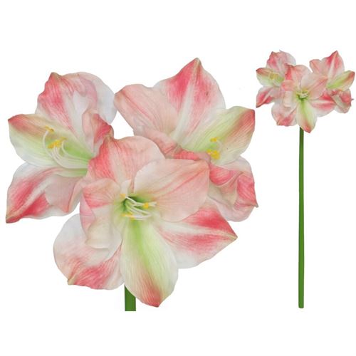 217895 HASTE AMARYLLIS 18.00 X 26.00 X 79.00 CM