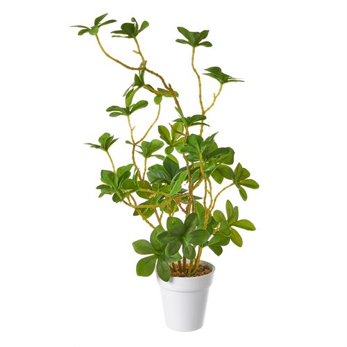 802359 PLANTA PLÁSTICO 20 X 20 X 41 CM