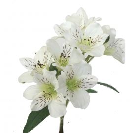 4595 HASTE FLOR ALSTROMENIA 65CM