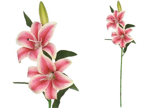 225913 LILIUM X3 TOQUE REAL
