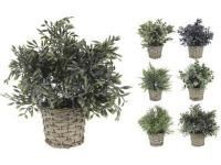 317002290 VASO RATAN C/PLANTA 28CM 6SORT.