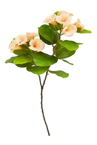 03-IT-4080 HASTE DE PETUNIA 70CM