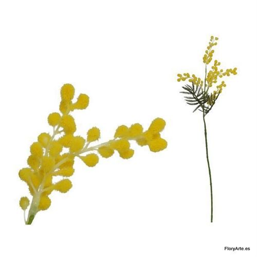 982290 HASTE MIMOSA 60CM