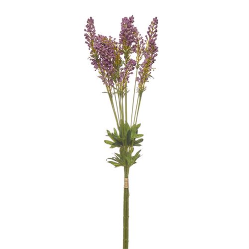 42228 HASTE - LAVENDER BUNDLE X 4 66 CC