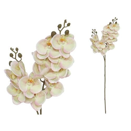227337 ORQUIDEA X12 TOQUE REAL 76CM