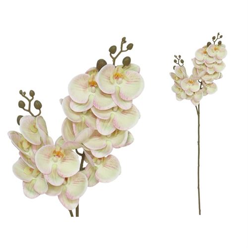 ORQUIDEA X12 TOQUE REAL 76CM