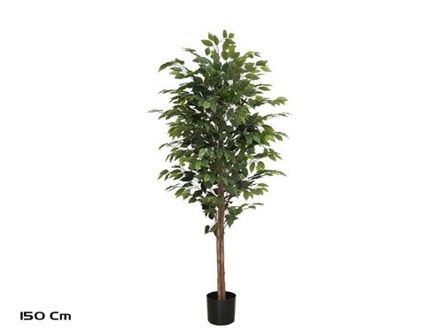186849 PLANTA FICUS 150CM