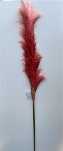 PLUMA CORAL 78CM