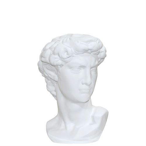 W233- BUSTO HOMEM BRANCO 40CM