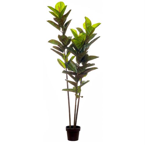 43443 PLANTA ARTIFICIAL - REAL TOUCH RUBBER TREE 180CM