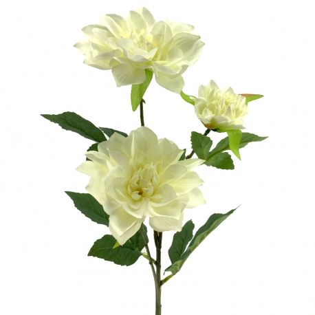 4347 HASTE ZINNIA