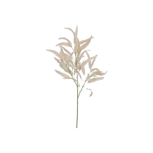 222066 HASTE EUCALIPTO 26.00 X 36.00 X 78.00 CM