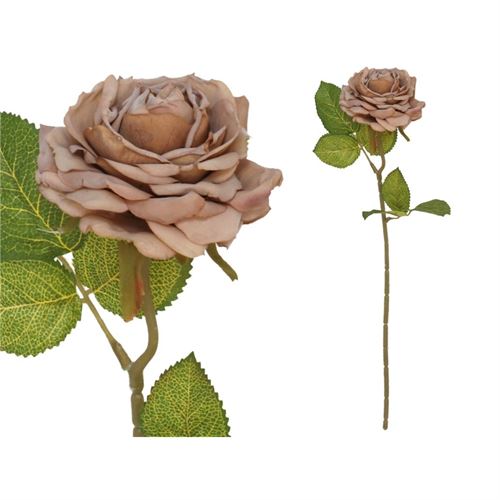 208251 HASTE ROSA SECA 50CM