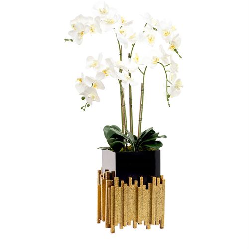 ORQUIDEA 4 CAULES SUPORTE LUX C 28,00 L 28,00 A 95,00