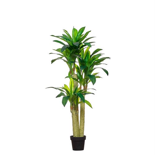 PLANTA ARTIFICIAL DRACAENA 155CM