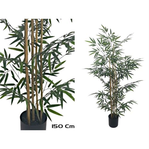 206660 PLANTA BAMBU 150CM