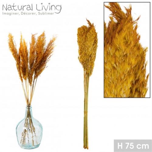 WILD REED FEATHER OCHER X 10PCS H75CM