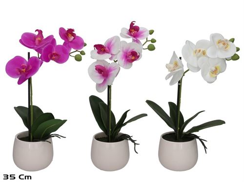 395463 ORQUIDEA VASO 35CM