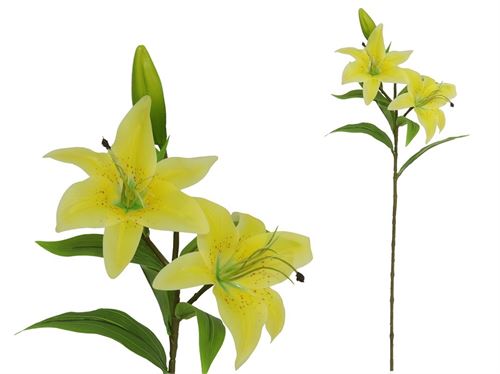 982153 HASTE LILIUM 77CM C/TOQUE REAL
