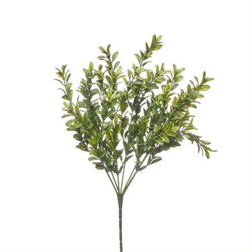 42265 HASTE - BUXUS BUSH X 7 30CM