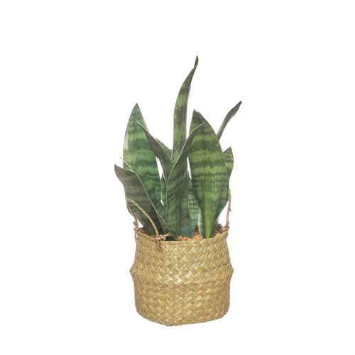 PLANTA ARTIFICIAL SANSEVIERIA EM CESTO