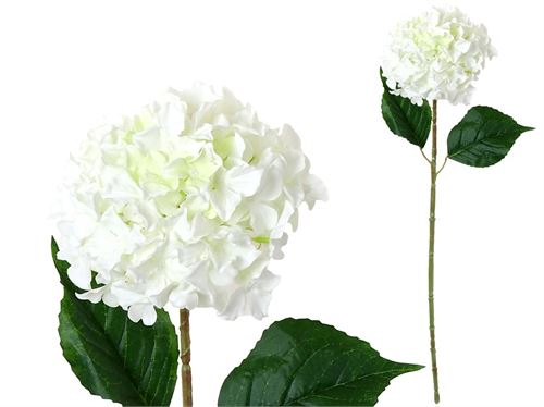 273976 HASTE HORTÊNSIA-69CM