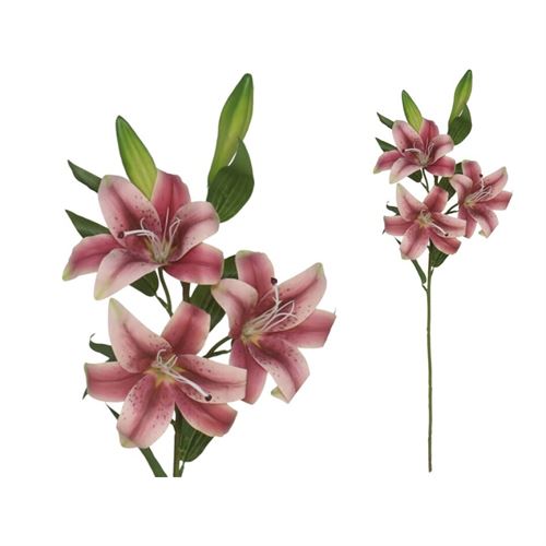 226118 HASTE LILIUM TOQUE REAL X5