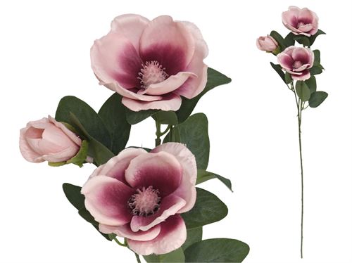 50904 MAGNOLIA ROSA X3-70CM