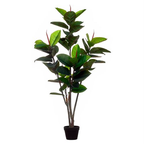 PLANTA ARTIFICIAL - RUBBER TREE 57LVS 150CM