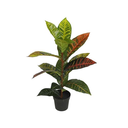 VASO CROTON 15X15X55CM