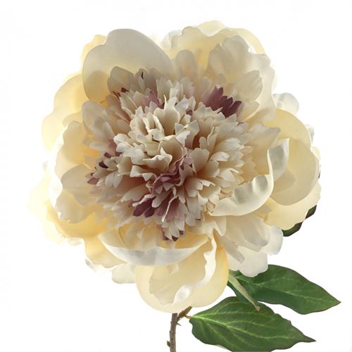 PEONIA COLECCION THAIS MALVA/CORAL/BEGE/SIENA/CREMA MALVA 70CM