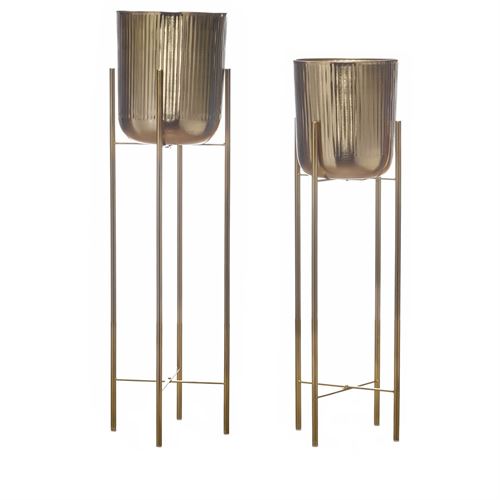 C 117,00 L 33,00 A 33,00