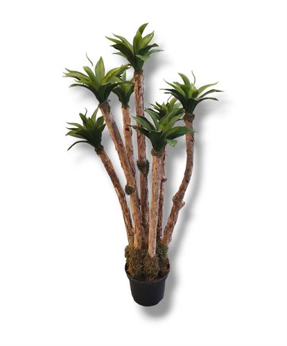 46112 PLANTA DE AGAVE PQ 110CM - 44101