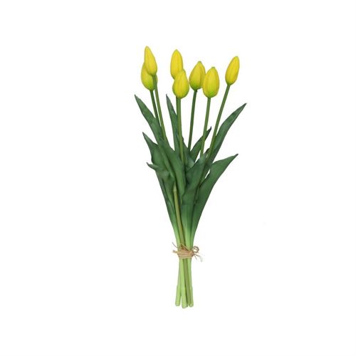 217758 TULIPA X745CM