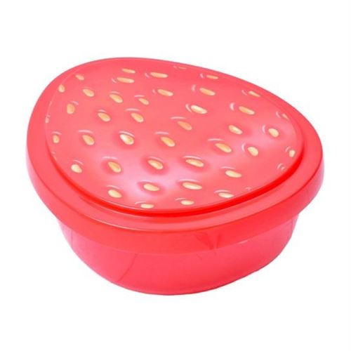 5018679 CAIXA PLASTICA MORANGO L-00867 CX12
