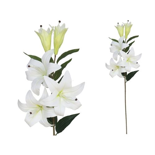 226149 HASTE LILIUM X 5 TOQUE REAL 25X95CM