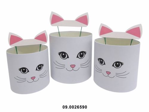 09.0026590 CAIXA CARTAO SET3 GATA BRANCA