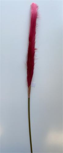 PLUMA FUSCIA 78CM