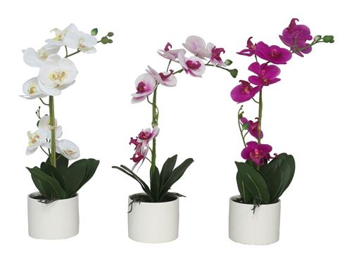 198491 ORQUÍDEAS EM VASO X 9 -54 CM